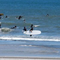 安全なマリンレジャーを　銚子海保　２２年、５５人が海難事故　シーズン前に注意呼びかけ