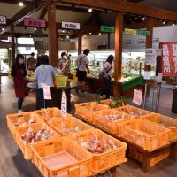 農産物直売所「土のめぐみ館」リニューアル　道の駅内、交流センターや駐車場も改修へ　南房総
