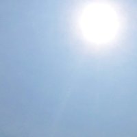 猛暑継続、鴨川３７度　観測史上最高