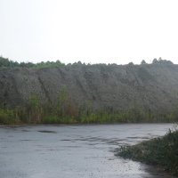 別の市有地も地質調査対象　山武市土砂問題　昨秋移動分