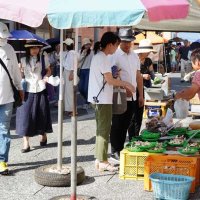 猛暑日が１００年以上ない「涼しい町」で注目された勝浦　観光客・移住相談増えたが課題も　#ニュースその後
