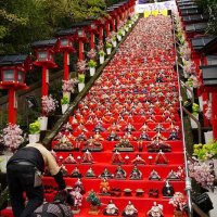 勝浦彩るひな人形募集　１０月３１日まで来春の祭りで使用