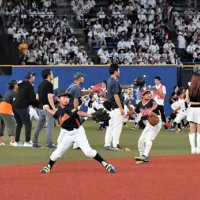 始球式最多３７８人、ギネス記録達成　親子１８９組　千葉ロッテ