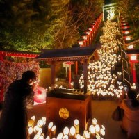 勝浦の宵、幻想的に　竹灯籠で光の川　優しい明かり、神社や商店街包む