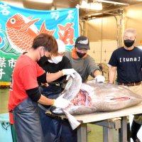 「食の祭典」卸売市場で　千葉市美浜区　マグロ解体など実演