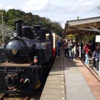 小湊鉄道全線で運転再開　市原、紅葉シーズンでにぎわう　仮復旧、平日は一部運休
