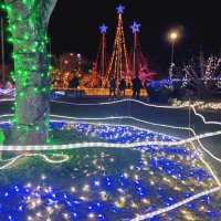 今年も色とりどりイルミ　旭・海上公民館　華やか空間に