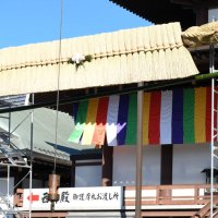 成田山新勝寺の大本堂前に巨大な大しめ縄を飾り付ける工務係員たち＝２５日、成田市