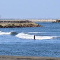 滞在者の騒音・迷惑行為防止へ　サーフィン拠点の一宮町が新条例　民泊増で近隣から苦情、共存模索　改善なければ氏名公表も