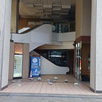 崩落した天井板と照明＝１日午後４時２８分、富山市
