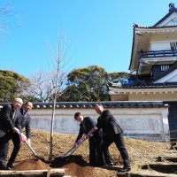 君津・久留里城址資料館　１００万人記念し桜植樹