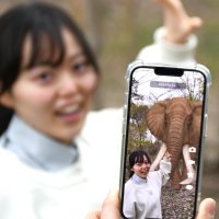 観光農場にトラ！？　デジタル動物を新たな観光資源に　スマホに画面に出現、撮影楽しんで　富里市末廣農場「２．５じげん動物園」