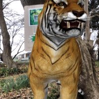 ＡＲによって公園内にトラなど動物が現れたような写真を撮影できる
