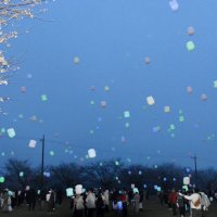 夜桜とランタンの幻想空間　八街で久々花見イベント
