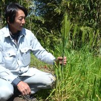 地元産小麦粉普及へ　命名「鴇嶺」学校給食にも　Ｓ・Ｋネットサービス（東金市）【ちばの元気企業】