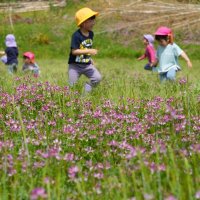 自分たちが種をまいたレンゲ畑で走り回る保育園児＝２６日、大多喜町下大多喜
