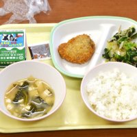 提供されたメニュー