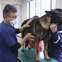探知犬診察続けて四半世紀　税関や警察の舞台裏支える　獣医師・渡辺言之さん（６３）＝栄町