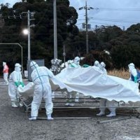 鳥インフルで意見交換「国基準の検証必要」　立民対策本部、熊谷知事と