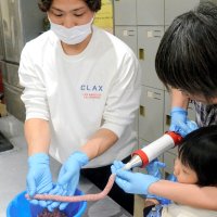 地元の仕事にチャレンジ！　児童、特産ソーセージ作りも　横芝光