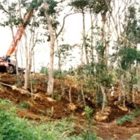 生態園開園前の整備工事。鴨川市の開発予定地から土ごと森を移植した（千葉県立中央博物館提供）