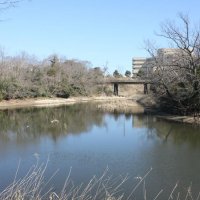 千葉県都に房総の自然再現　開園３５年、多様な動植物生息　日本初エコロジー・パーク　千葉県中央博「生態園」