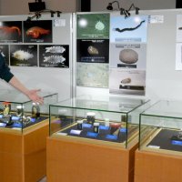 超深海生物にギョギョッ　勝浦・海の博物館で企画展　世界初公開の標本も
