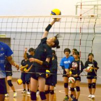 バレーの基本プロに学ぶ　市原の女子中学生　東レアローズ選手ら教室