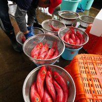 水産まつりで販売されたキンメダイ
