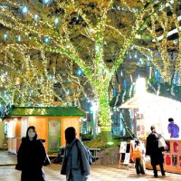 県都彩るクリスマスの輝き　千葉市中央公園でマーケット　祝祭の光、街角照らし　【師走スケッチ２０２５】