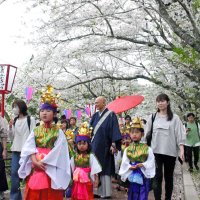 茂原公園の桜の下を歩く子どもたち＝５日、茂原市