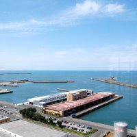 展望フロアから望む漁港と、その先に広がる太平洋
