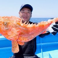 館山オニカサゴ幻の２・８キロ　木更津・保田アジ狙える　【今週の釣果】