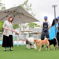 愛犬と泊まれる新リゾート誕生　旧ひめはるの里跡地に「ラフラフ千葉」　茂原